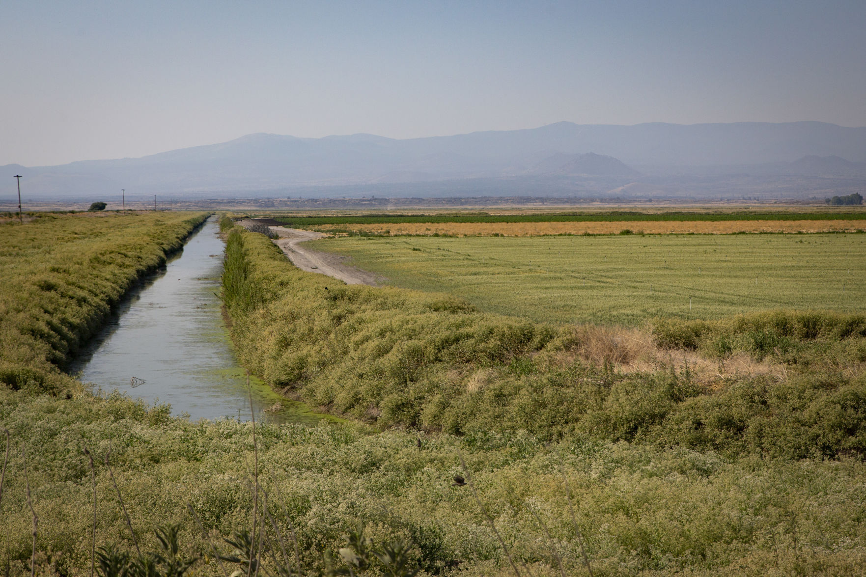 Tulelake Refuge - 7/16